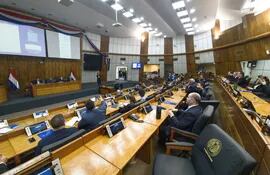 La audiencia pública se realizó ayer en la sala de sesiones de la Cámara de Diputados.