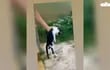 Momento en que una presunta adolescente arroja a un gato desde lo alto de un puente en Fuerte Olimpo.