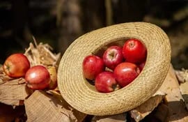 La manzana es rica en pectinas, que pueden contrarrestar el efecto dañino de los jugos gástricos y reducir la sensación de acidez.
