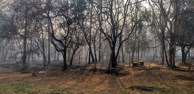 El fuego arrasó con varias hectáreas en Areguá.