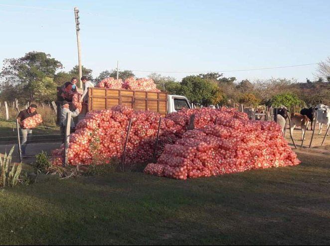 Inician primera comercialización de unos 135.000 kilos de cebolla en Ybytymí, departamento de Paraguarí.