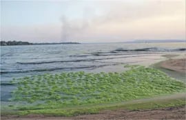 este-es-el-aspecto-que-presenta-el-lago-ypacarai-en-un-sector-de-la-playa-de-san-bernardino-existe-ahora-un-plan-para-limpiar-ese-recurso-hidrico-l-00006000000-1802644.jpg