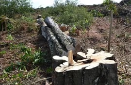 deforestacion-denuncian-a-fiscal-por-mal-desempeno-de-funciones-123418000000-1090610.jpg