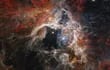 El Telescopio Espacial James Webb ha revelado con su Cámara de Infrarrojo Cercano (NIRCam) las características, antes ocultas, de la protoestrella L1527, incrustada dentro de una nube de material que alimenta su crecimiento; la imagen proporciona una visión de la formación de una nueva estrella.