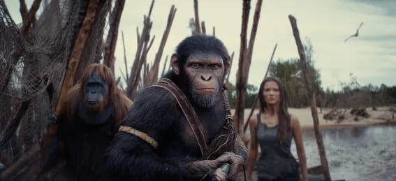 Fotografía de una escena de "El Planeta de los Simios: Nuevo Reino", que se estrenará en los cines próximamente.