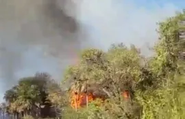 Incendio en pastizal puso en riesgo una estación de servicios en Luque