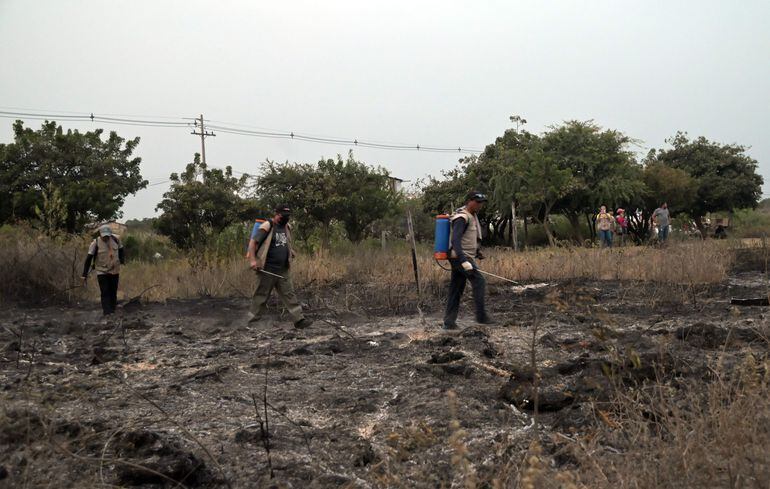 La reserva forestal del Banco San Miguel es una de las más afectadas por los incendios.