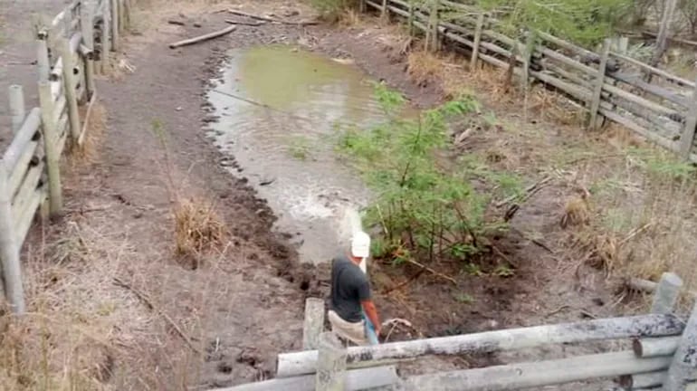 Un pequeño productor procede a bajar el agua del camión cisterna en su seco tajamar.