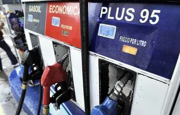 El precio de las naftas no va a subir, informaron hoy fuentes oficiales.
