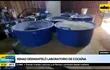 Desmantelan laboratorio de cocaina en Amambay