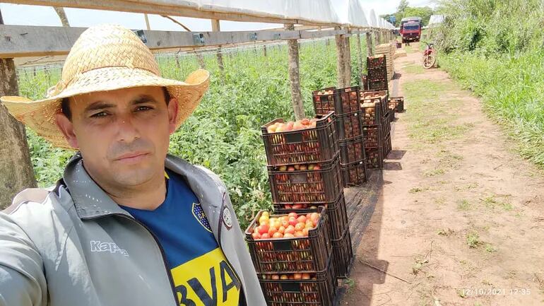 Francisco Meza, productor del departamento de Caaguazú, en su plantación de tomate