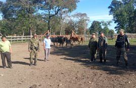 La Brigada de Lucha contra el Abigeato, recuperó 7 animales vacunos hurtados a un humilde agricultor