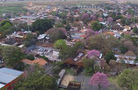 La cercanía de la primavera renueva el verdor de los árboles y entre esas copas los lapachos ponen todo su colorido en Chacarita.