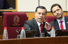 El presidente de la ANDE, Félix Sosa, hoy en el Congreso Nacional.