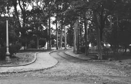 Así lucían los caminos internos del Parque Caballero en marzo de 1970.