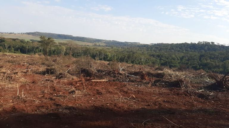 Unas 40 organizaciones ambientalistas había exigido al Gobierno rever la intención de modificar el decreto vigente ya que amenzaba  al menos un millón de hectáreas de bosques.