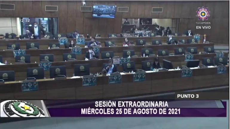 La Cámara de Diputados se ratificó en su proyecto de ley de consolidación económica.