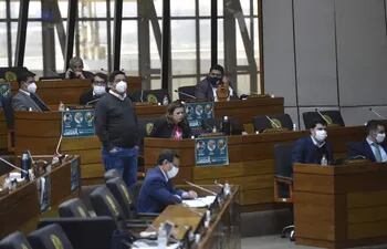 Diputados y diputadas del PLRA y del PEN ayer en sesión ordinaria de la Cámara Baja.