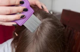 Para deshacerse de los piojos y sus larvas, además del tratamiento con un agente adecuado, también es crucial peinar el cabello con un peine fino adecuado.