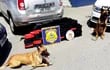 dos-perros-adiestrados-resguardan-el-cargamento-de-crack-que-fue-enviado-desde-pedro-juan-caballero-al-brasil--194238000000-1678543.jpg