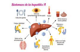 28 DE JULIO. Día Mundial contra la Hepatitis.