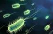 Las superbacterias proliferan en parte por la contaminación, asegura la ONU. (archivo)