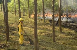 Los incendios forestales y pastizales mantiene en zozobra a la comunidad nepomucena