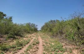 El ecosistema del Parque Nacional Médanos del Chaco es uno de los más frágiles. Su exploración causaría daño ambiental irreperable, opinan los expertos (Foto: Tatiana Galluppi).