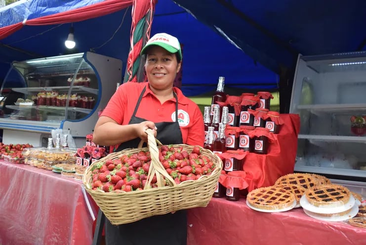 En Areguá apenas recolectan una canasta de 12 kilos de frutilla, por día.
