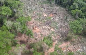 deforestacion-paraguay-92235000000-1585037.jpg
