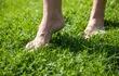 El césped es una base ideal para los primeros pasos con los pies descalzos.