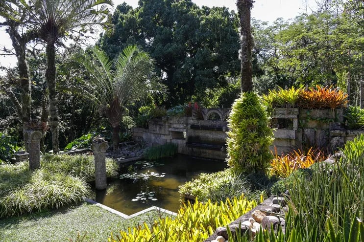 Fotografía de los jardines en el sitio Burle Marx en Río de Janeiro (Brasil). El sitio Burle Marx, el jardín botánico brasileño que cuenta con una de las mayores colecciones de plantas tropicales y subtropicales del mundo.