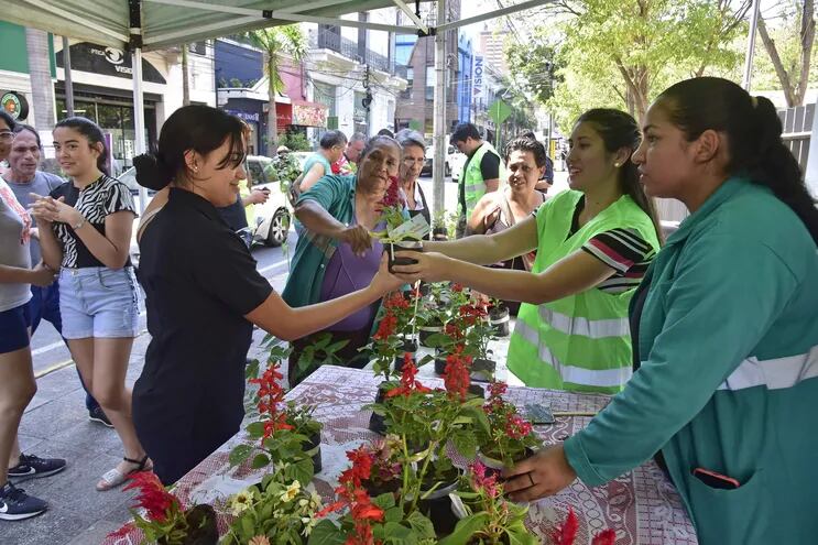 Primavera en la calle Palma, de Asunción. Se realizó la entrega de plantines en Palma y Chile.