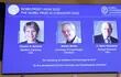 Los científicos Carolyn Bertozzi, Morten Meldal y K.Barry Sharpless son los ganadores del Premio Nobel de Química por el desarrollo de la química del clic, que ha permitido mejorar la orientación de los productos farmacéuticos contra el cáncer, anunció la Academia Sueca de Ciencias en Estocolmo.