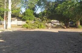 Pedazo de árbol tapando una calle en zona limítrofe entre Asunción y Lambaré