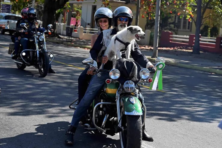 Carlos Pupo Sablon scheute keine Mühen um, sich mit seinen Harley-Davidson-Fans zu treffen. | Bildquelle: © Na | Bilder sind in der Regel urheberrechtlich geschützt