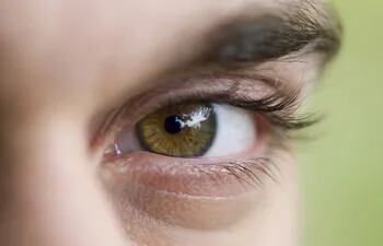 la-retinopatia-diabetica-es-una-enfermedad-comun-por-lo-que-es-importante-el-control-oftalmologico-ya-que-los-vasos-sanguineos-lesionados-inciden-234246000000-1380713.jpg
