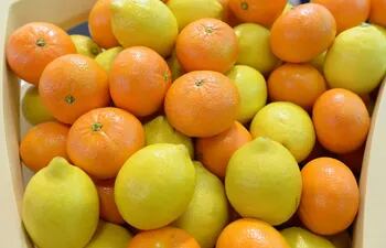 los-citricos-tienen-un-alto-contenido-de-vitamina-c-que-es-saludable-para-la-piel--164606000000-1722564.jpeg