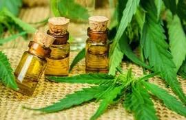 cannabis-medicinal-152650000000-1819739.jpg