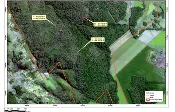 Mapa satelital captada en junio de 2021, donde se aprecia la masa vegetal existente al momento del ingreso de los ocupantes en la zona de reserva forestal del San Rafael.