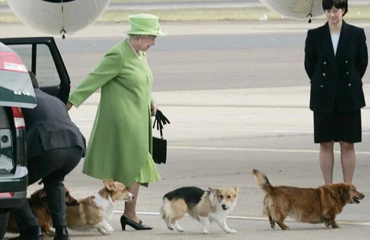 La reina Isabel II con cuatro de sus perros corgi.