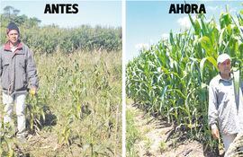 Una comparación de un antes y un después en el campo de Trifón Ruiz Díaz en San Juan Nepomuceno.