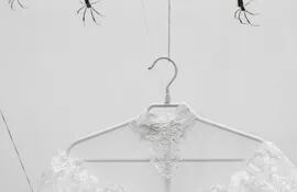 Varias arañas fueron colocadas en la instalación "Sí, quería" del artista paraguayo Joaquín Sánchez, que se exhibe en el Museo Malba de Buenos Aires.