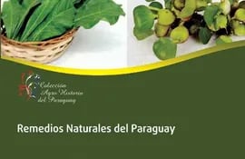 tapa-del-libro-sobre-remedios-naturales-del-paraguay-del-ing-agr-caio-scavone--194534000000-396983.jpg