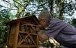 Paul Hanson, profesor de biología de la Universidad de Costa Rica, observa un "hotel" para abejas, un proyecto para proteger a las polinizadoras. (AFP)