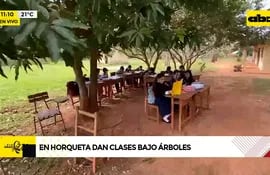 Video: Alumnos dan clases bajo un árbol