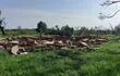 Una de las viviendas de las que solo quedaron escombros tras el paso del tornado en Mbocayaty del Yhaguy.