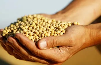 El presidente de la Capeco estimó que más del 30 por ciento de la soja producida en Paraguay acaba en Europa.