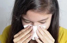 El Ministerio de Salud recuerda cuáles son las alergias más comunes en Paraguay, sus síntomas y cómo controlarlos.