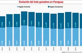 HATO GANADERO EN PARAGUAY